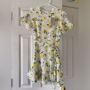 NWT- Spring Banana Republic Lemon Dress